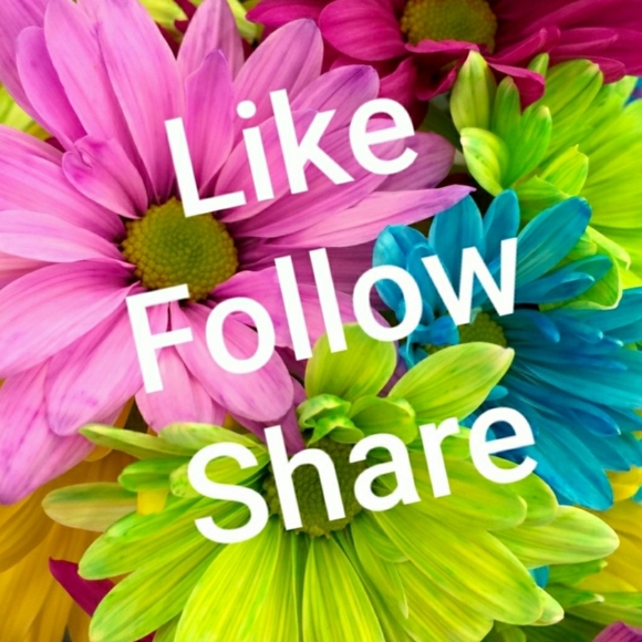 Meet your Posher, Mary - Picture 16 of 16